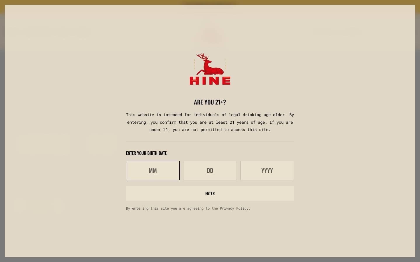hineusa.com homepage screenshot