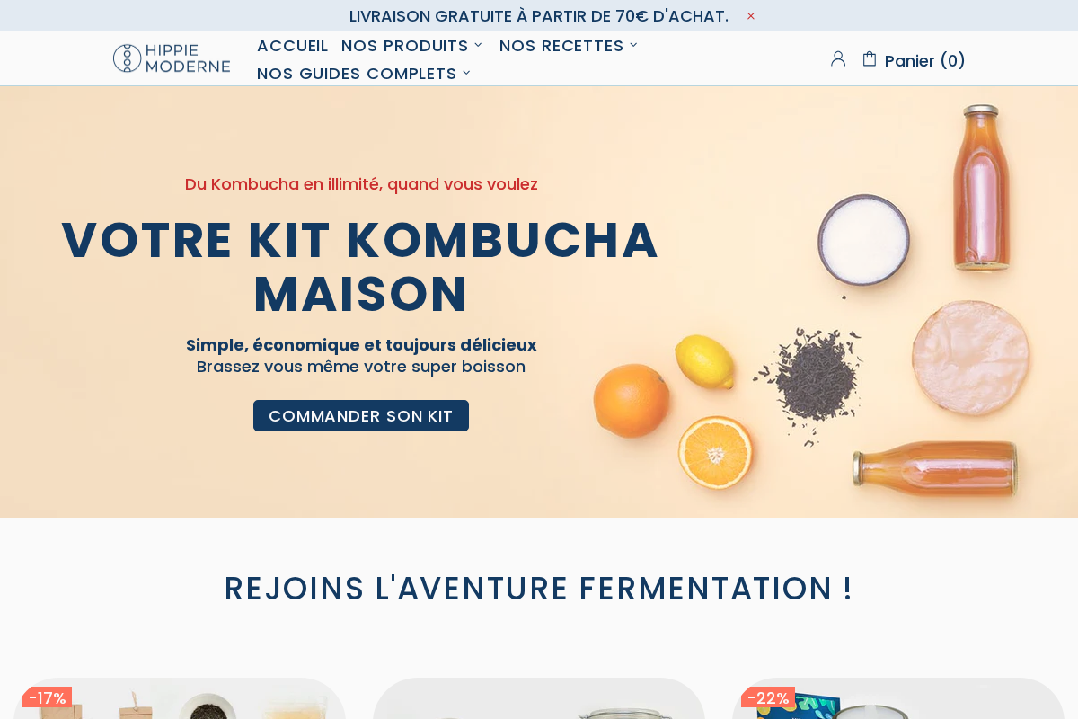 Hippie Moderne homepage screenshot
