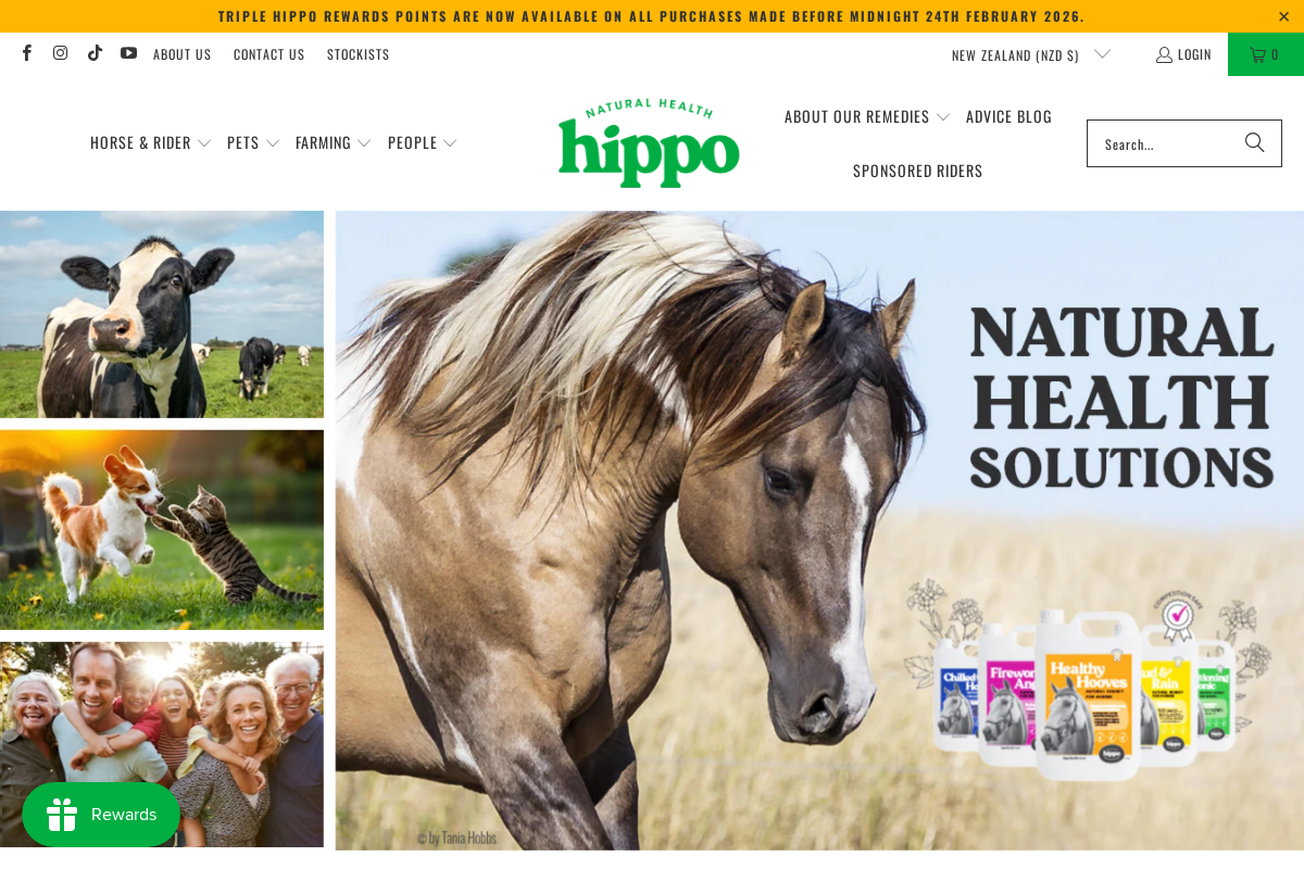 Hippo Health homepage screenshot