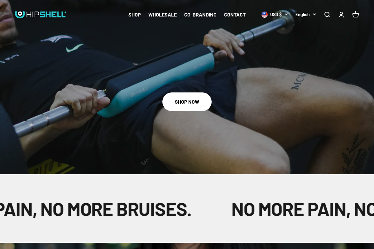 HIPSHELL homepage screenshot