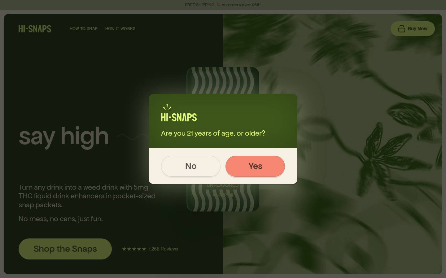 Hi-Snaps homepage screenshot
