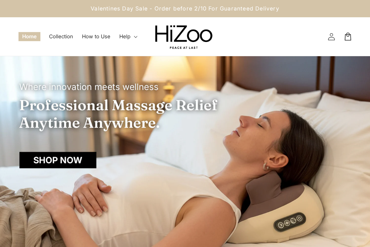 Hizoo homepage screenshot