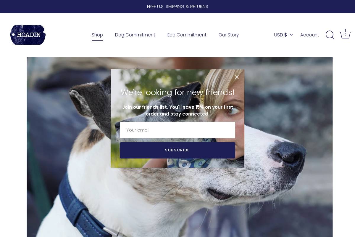 hoadin.com homepage screenshot