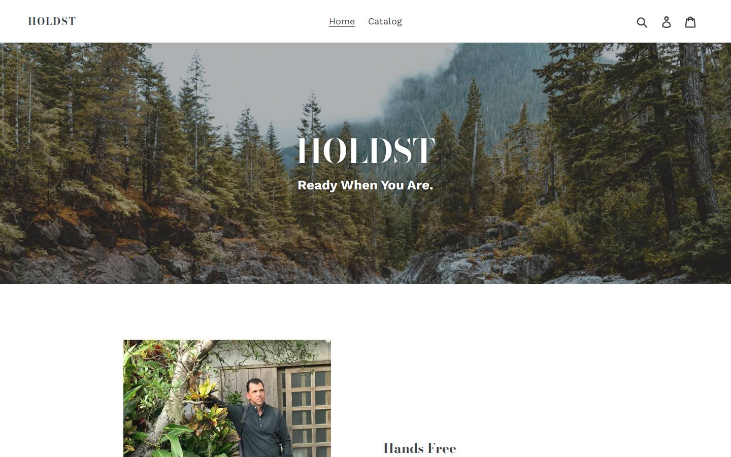 holdst.com homepage screenshot