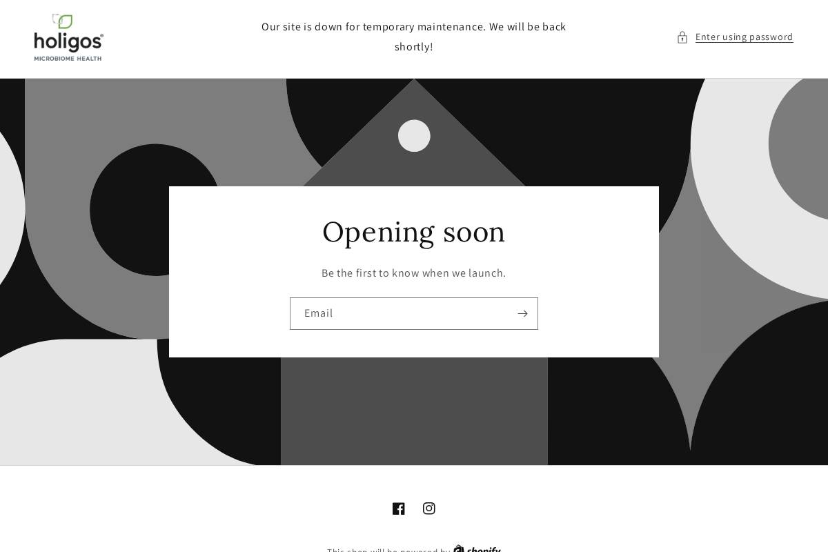 holigos.com homepage screenshot