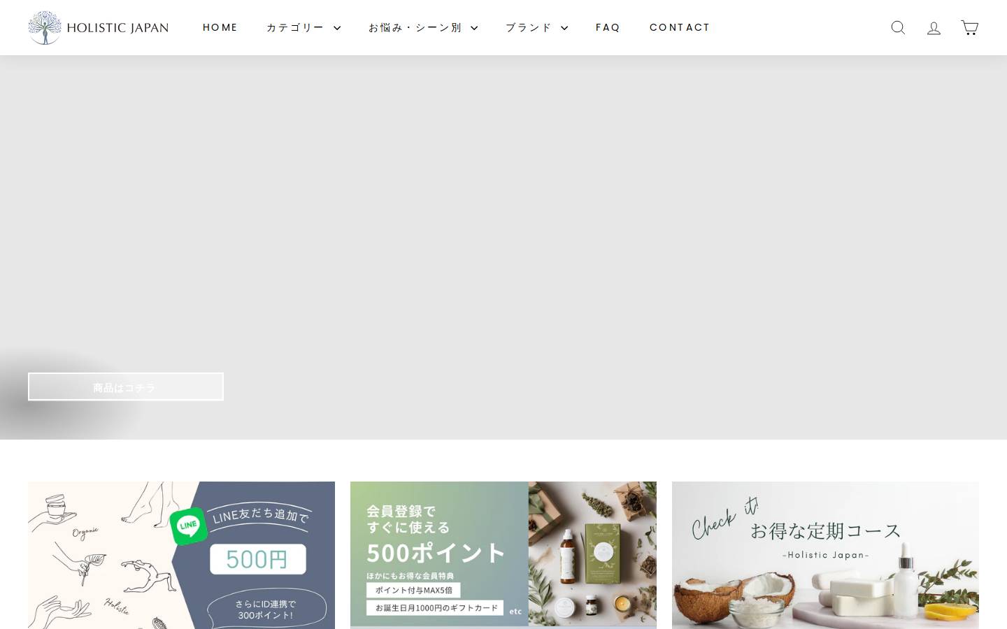 holisticjapan.com homepage screenshot
