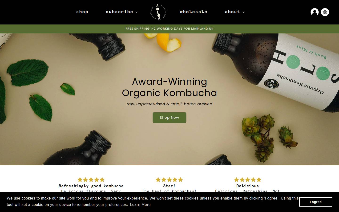 Holoskombucha homepage screenshot