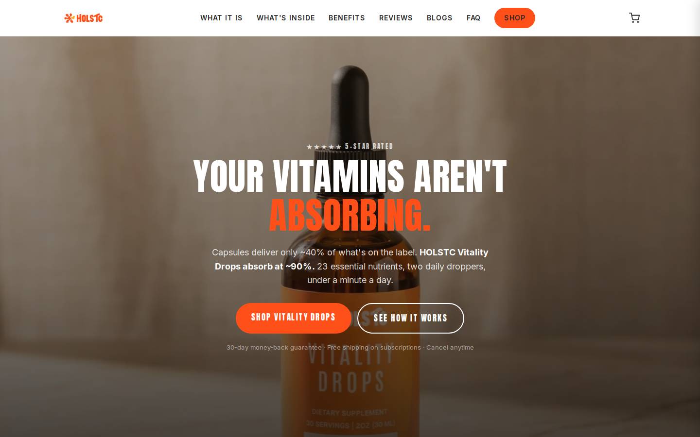 Holstchealth homepage screenshot