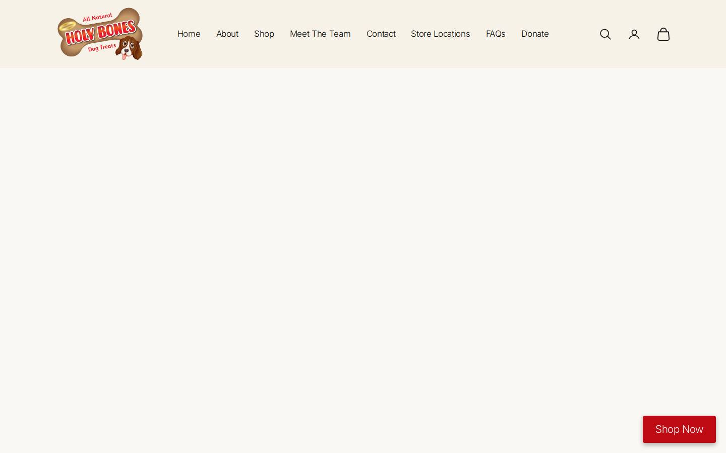 holy-bones.org homepage screenshot