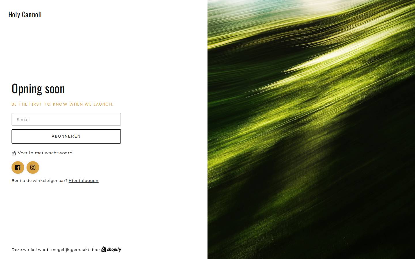 Holycannoli homepage screenshot