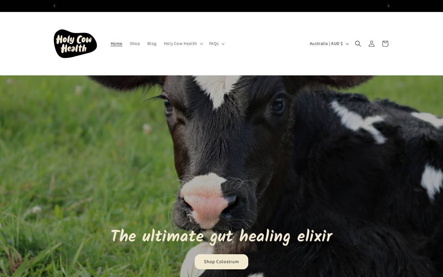 holycowhealth.com homepage screenshot