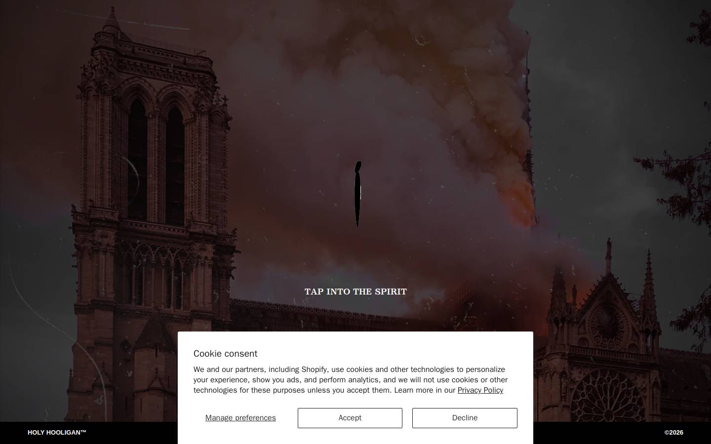 holyhooligan.com homepage screenshot