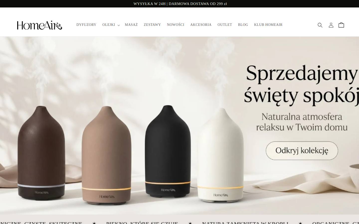 homeairpolska.pl homepage screenshot