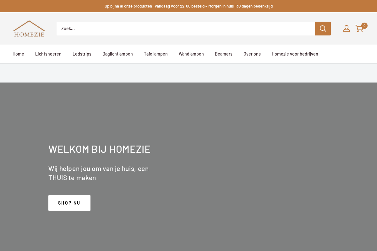 Homezie homepage screenshot