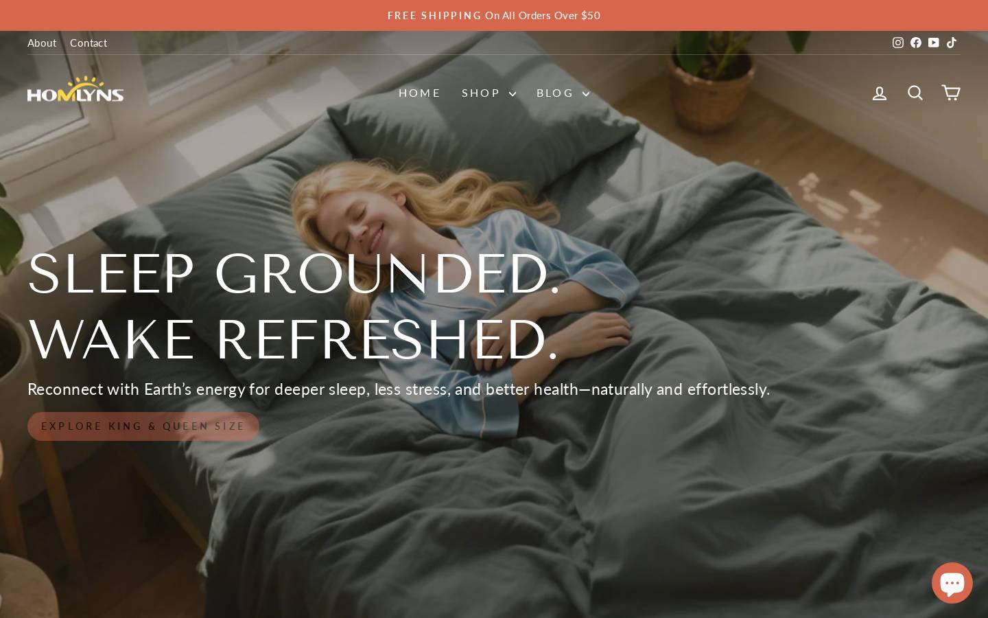 Homlyns homepage screenshot