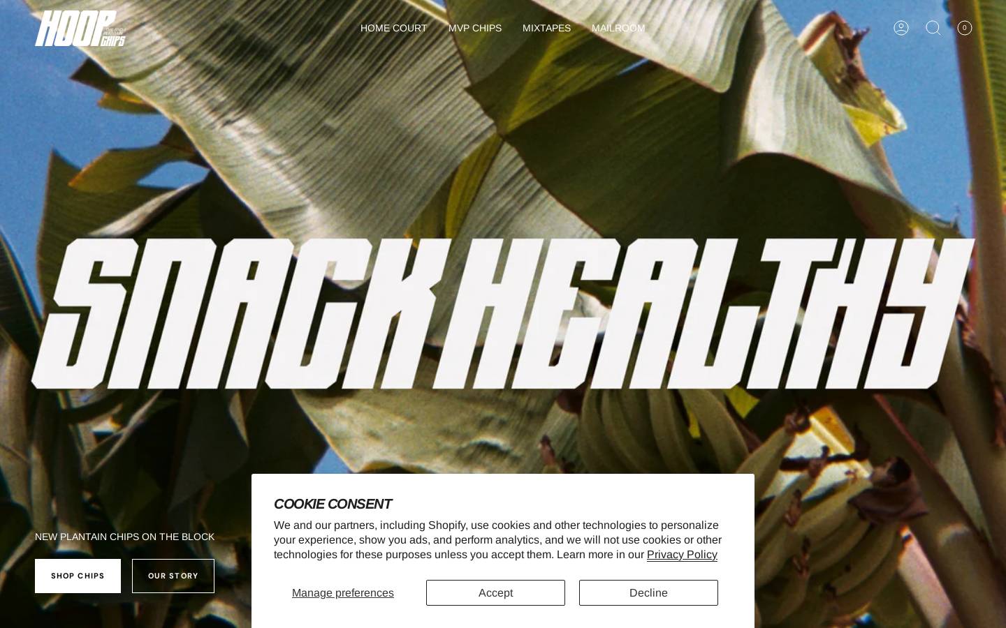 hoopchips.com homepage screenshot