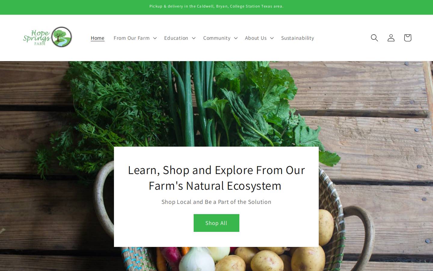 hopespringstx.com homepage screenshot