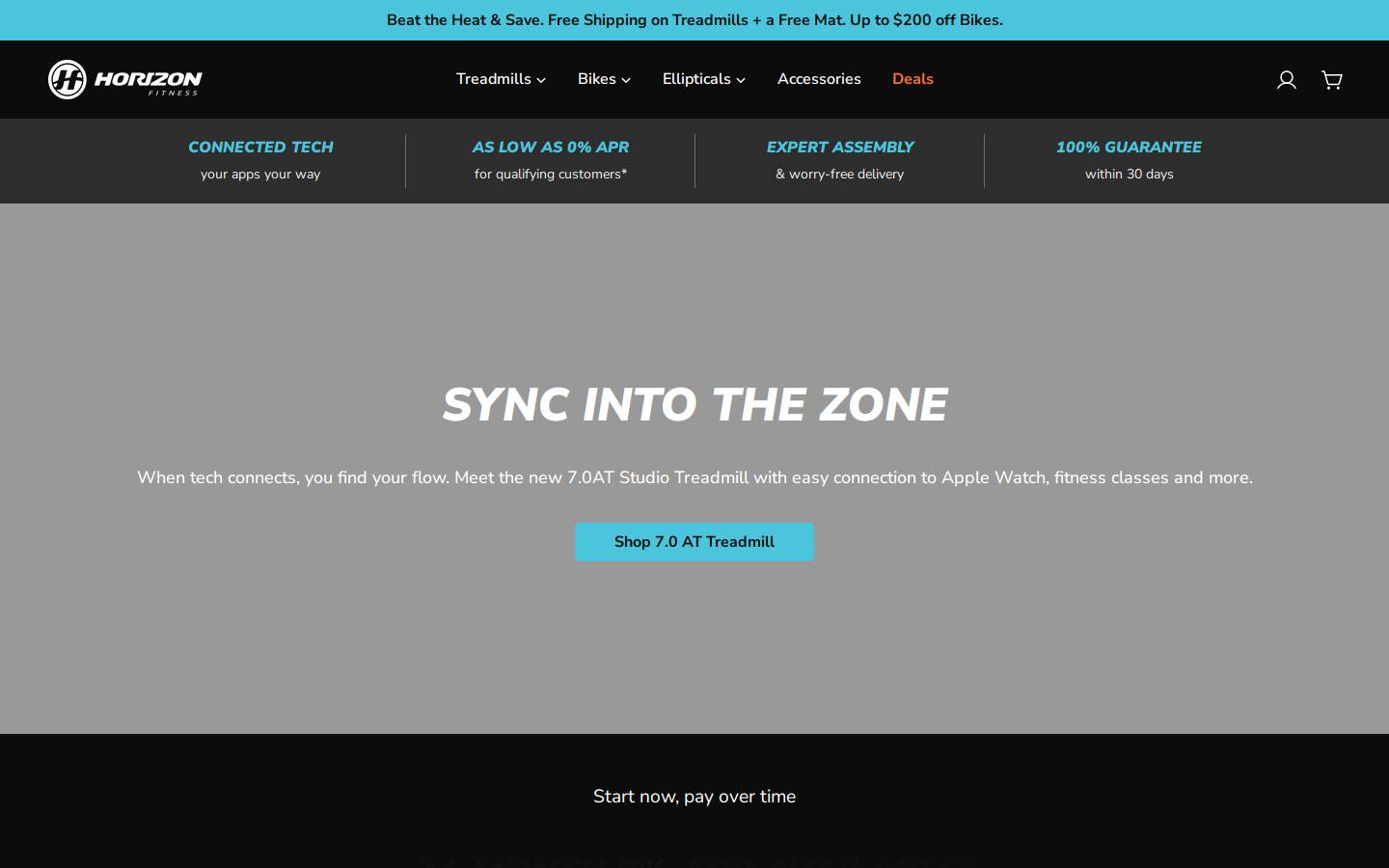 Horizon Fitness homepage screenshot