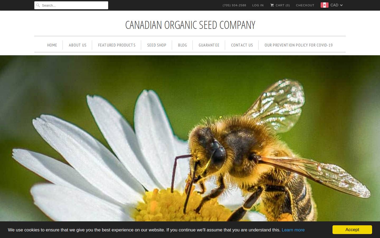 hotgarlic.ca homepage screenshot