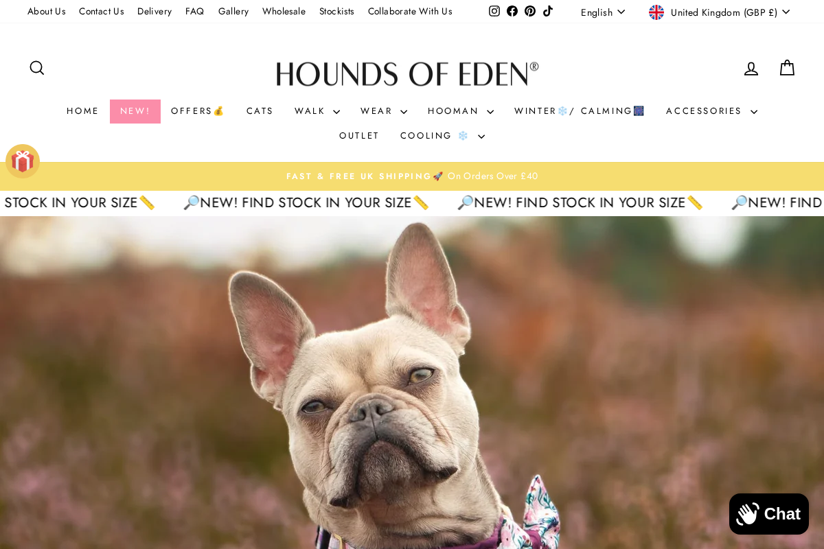 Hounds of Eden homepage screenshot