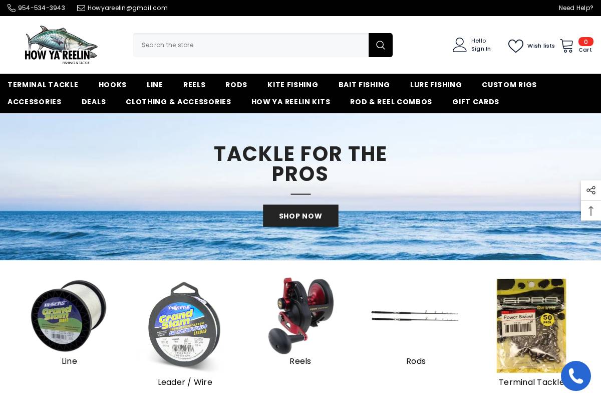 howyareelin.com homepage screenshot