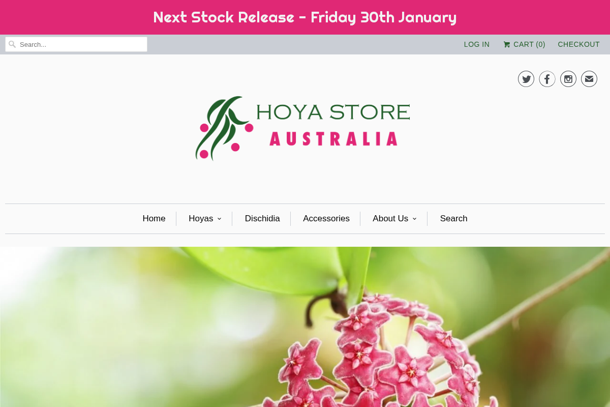 Hoya Store Australia homepage screenshot