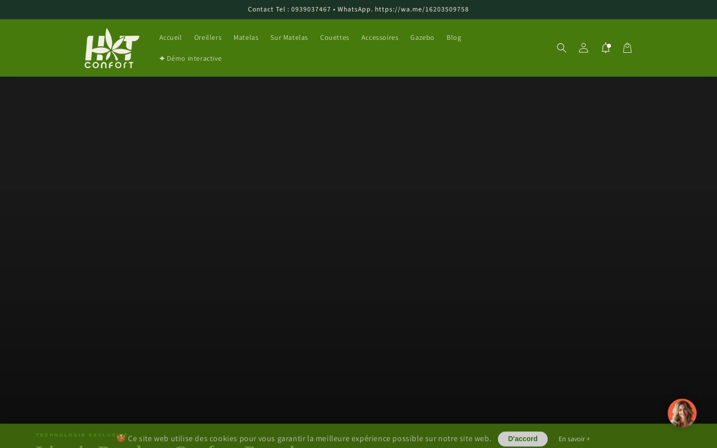htconfort.com homepage screenshot