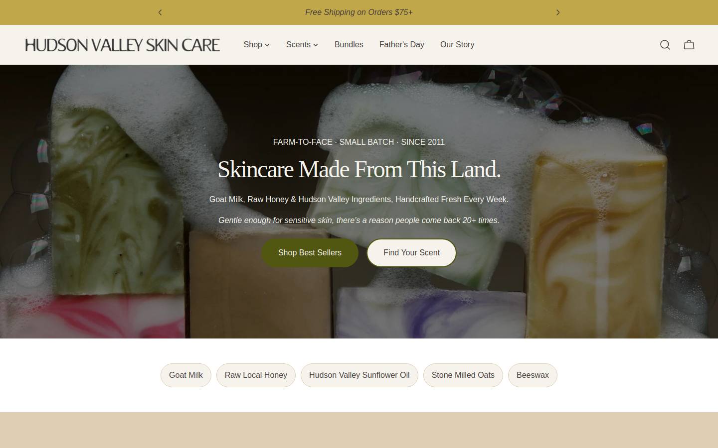 hudsonvalleyskincare.com homepage screenshot