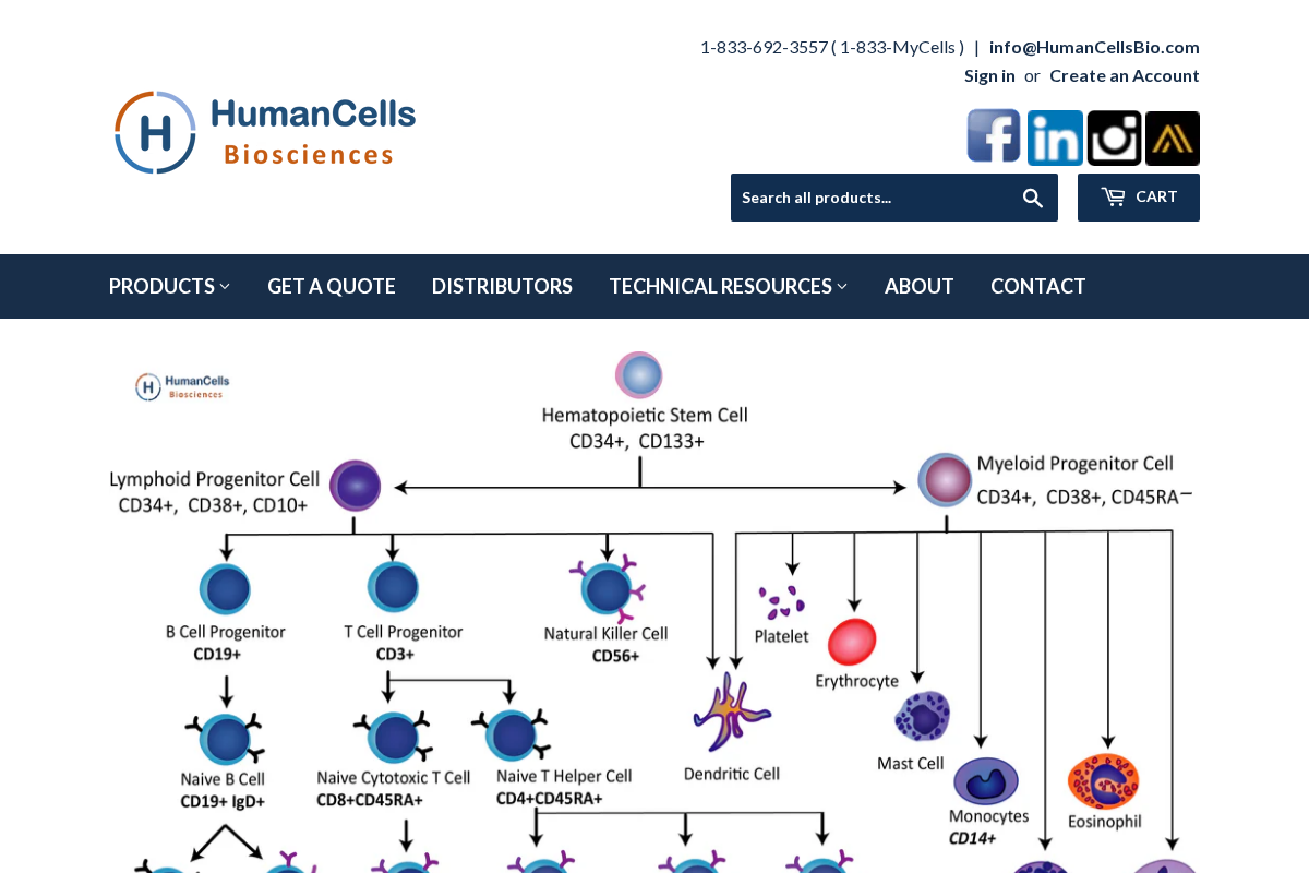 HumanCells Bio homepage screenshot