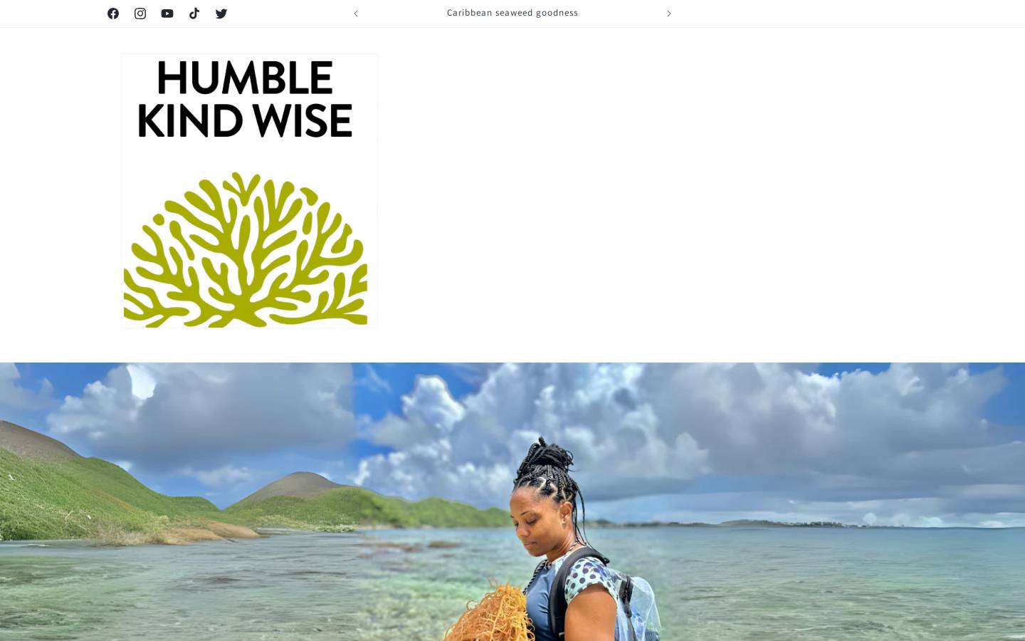 humblekindwise.com homepage screenshot