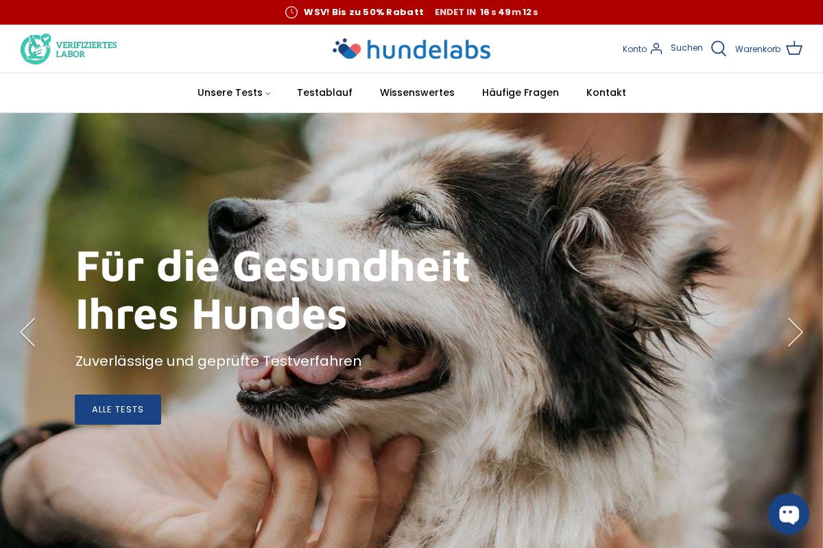hundelabs.de homepage screenshot