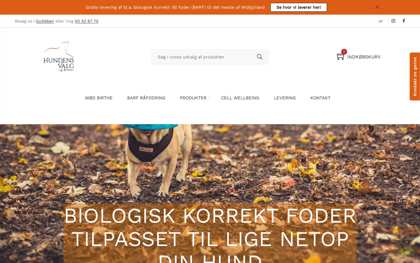 Hundensvalg homepage screenshot