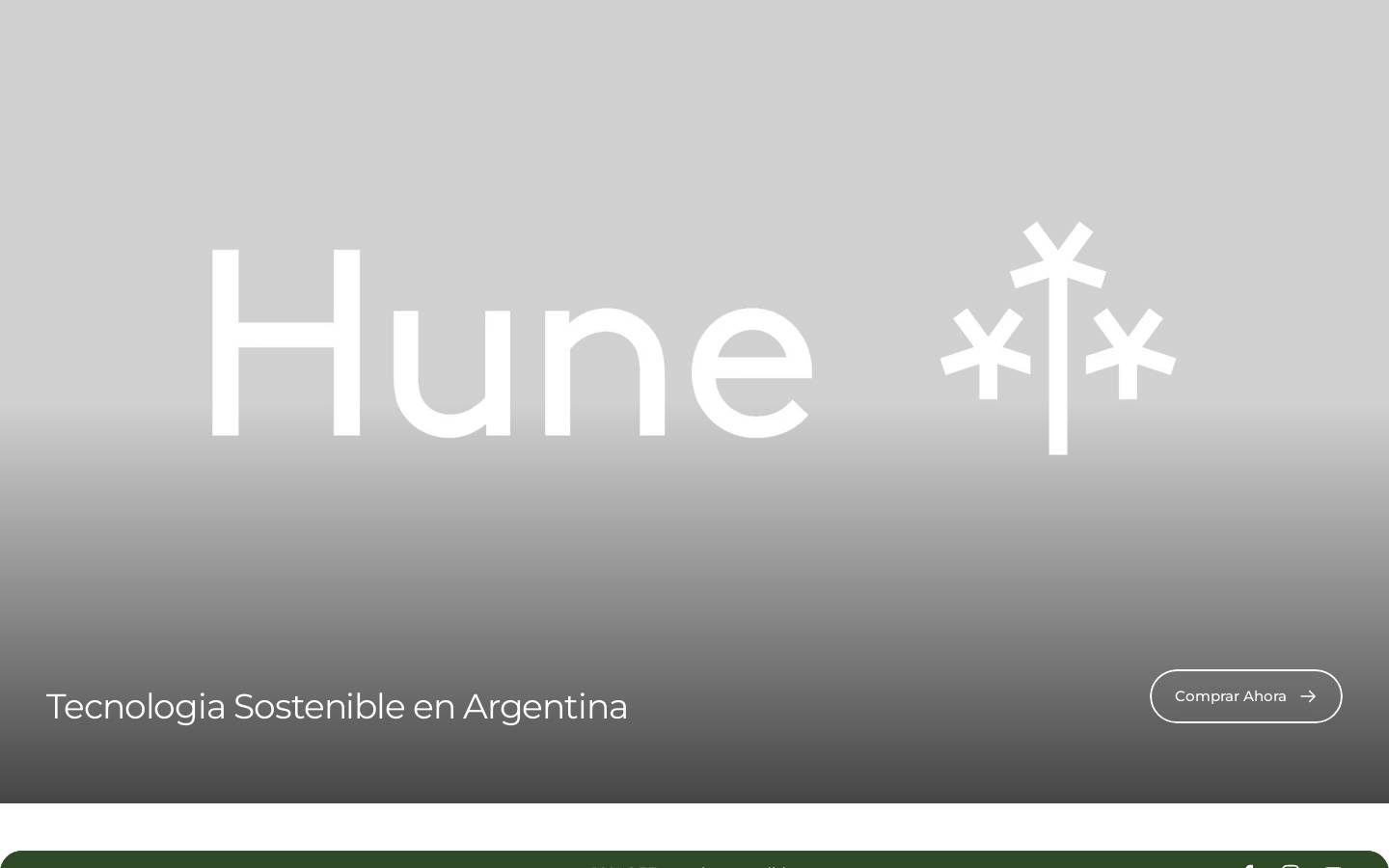 hune.com.ar homepage screenshot
