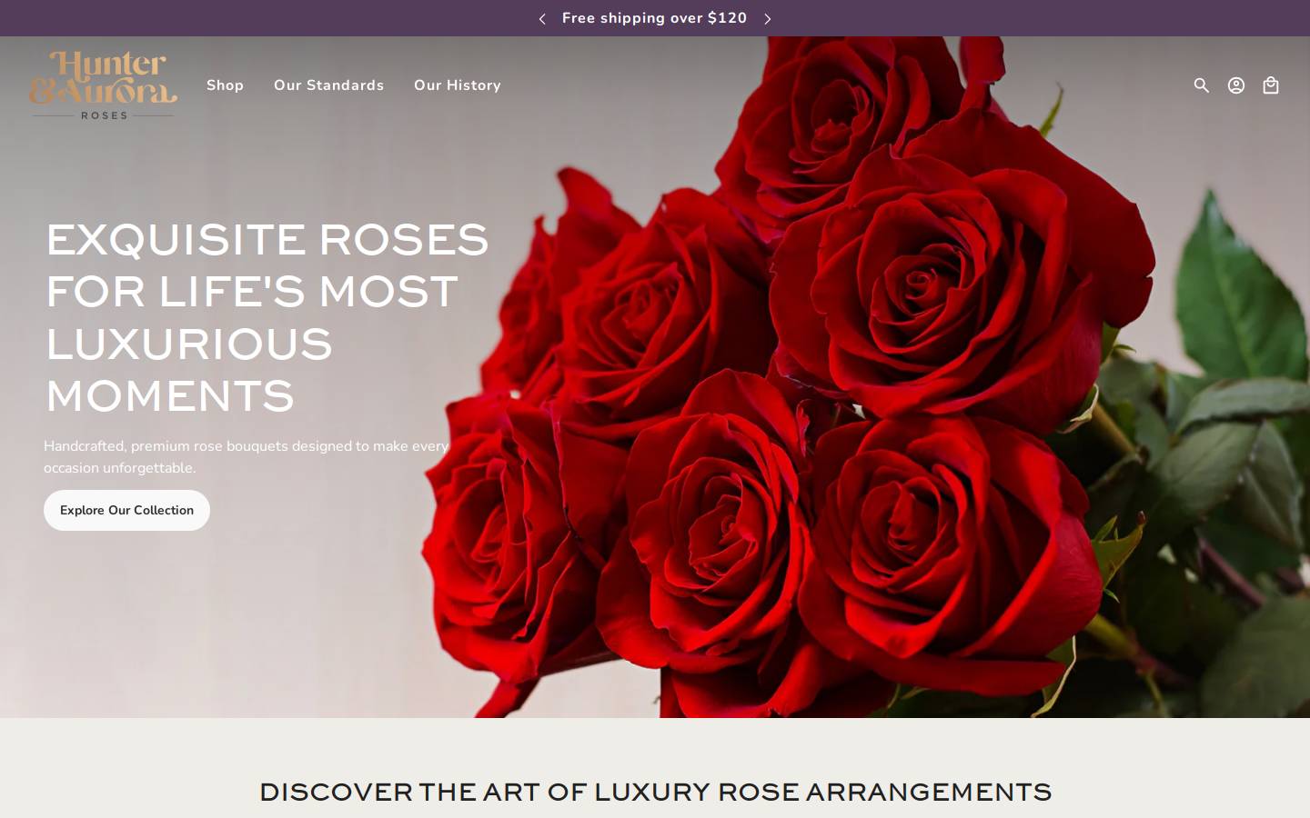 hunterandaurora.com homepage screenshot