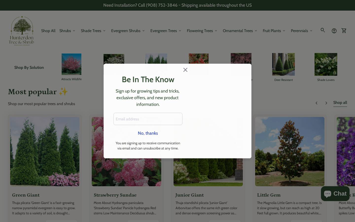 hunterdontree.com homepage screenshot