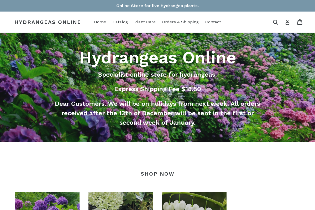 Hydrangeas Online homepage screenshot
