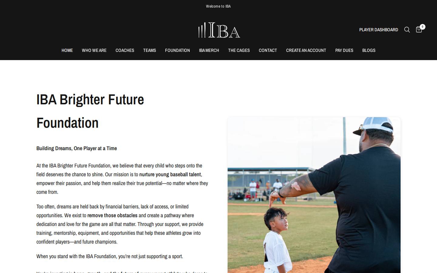 ibabrighterfuture.com homepage screenshot