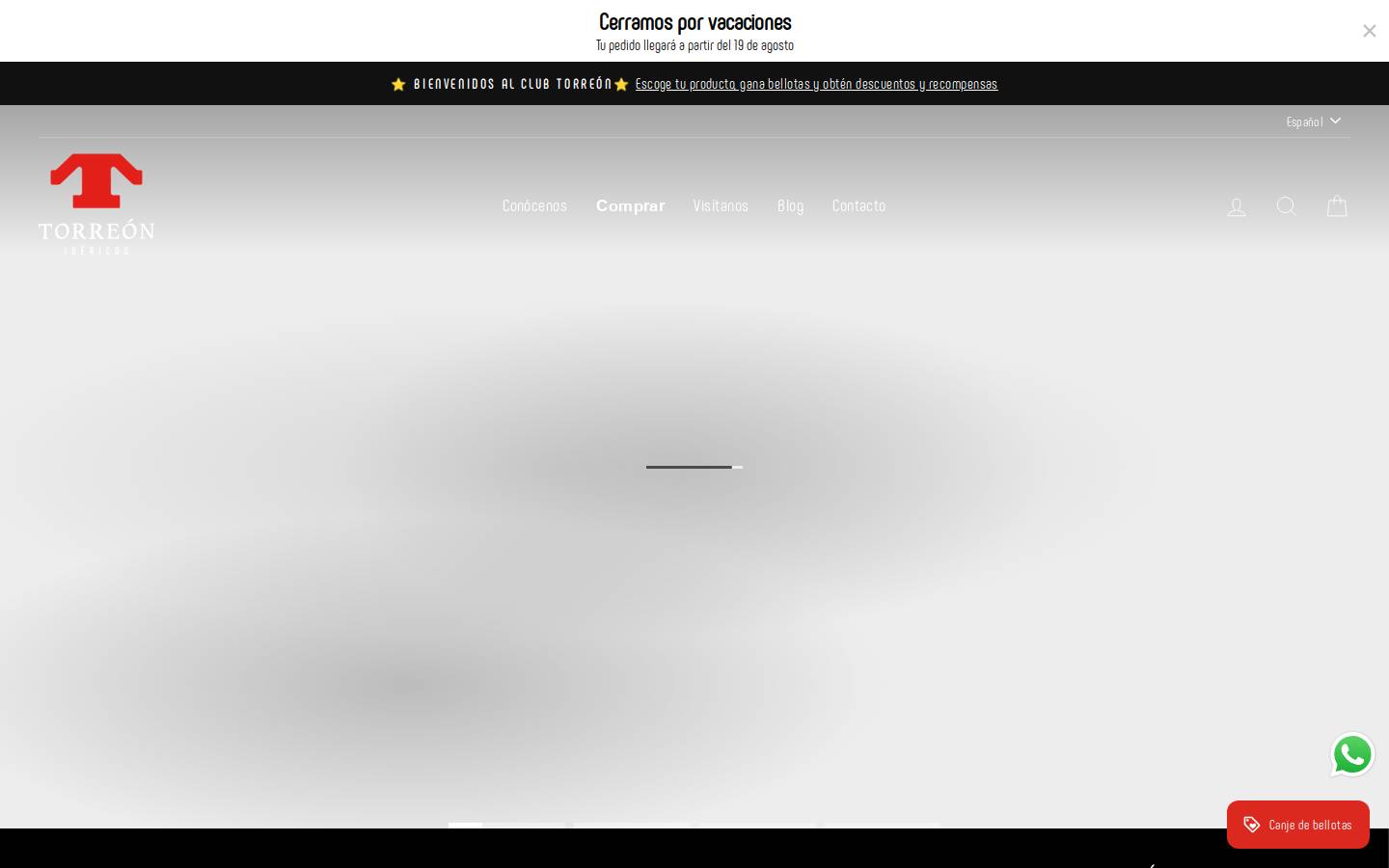 Ibericostorreon homepage screenshot