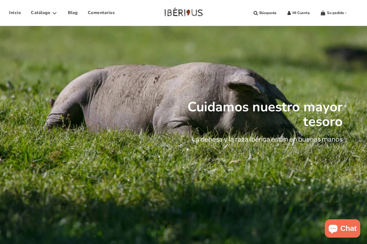 iberiqus.com homepage screenshot