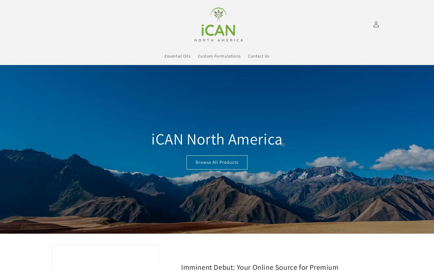 icannagroup.com homepage screenshot