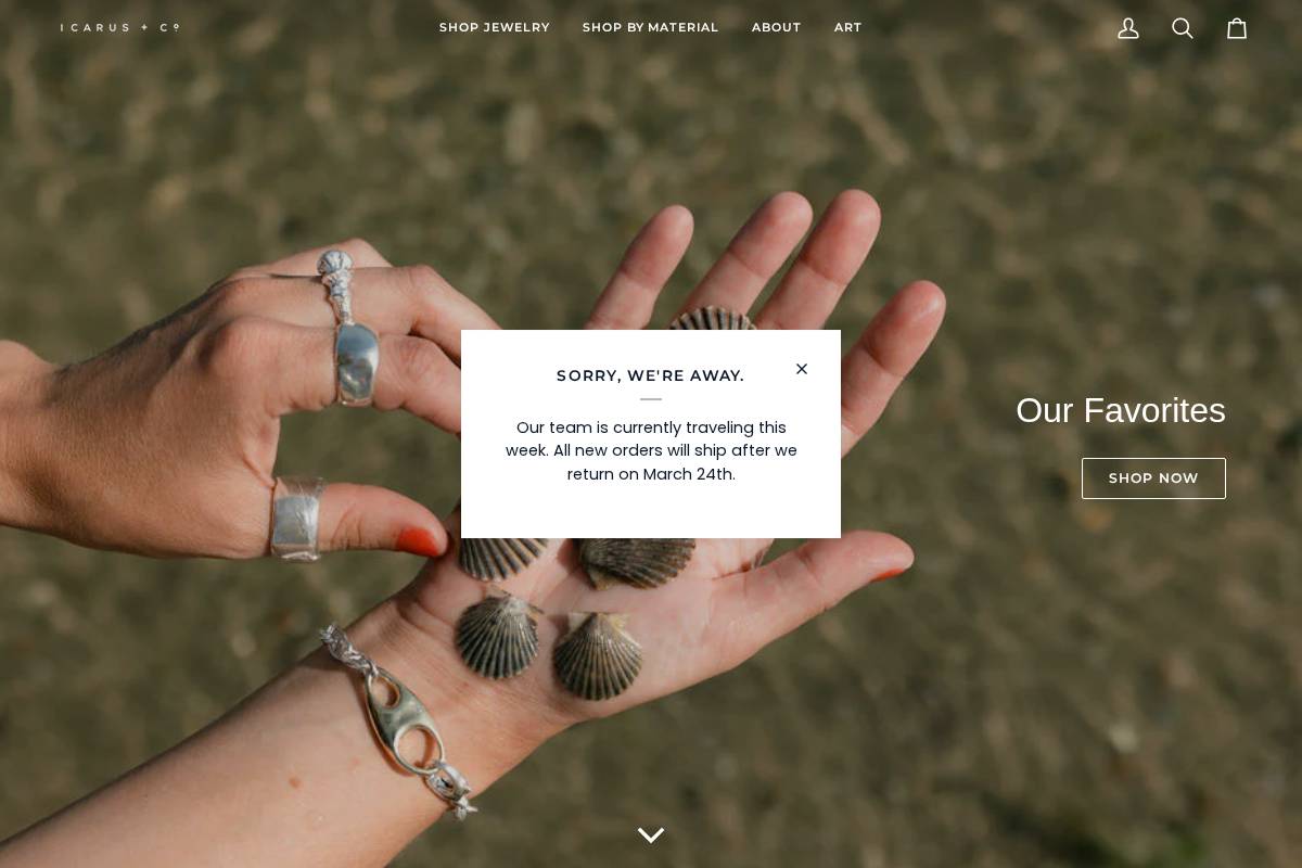 icarusandco.com homepage screenshot