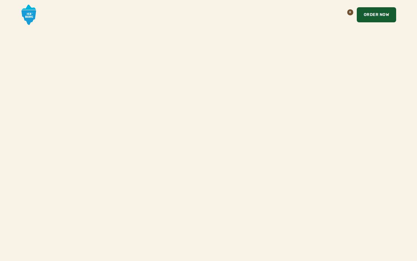 icebergicecreams.in homepage screenshot