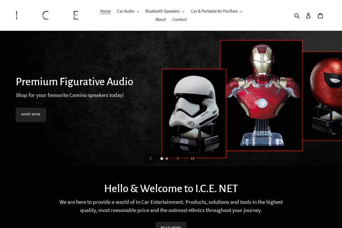 icenet.sg homepage screenshot