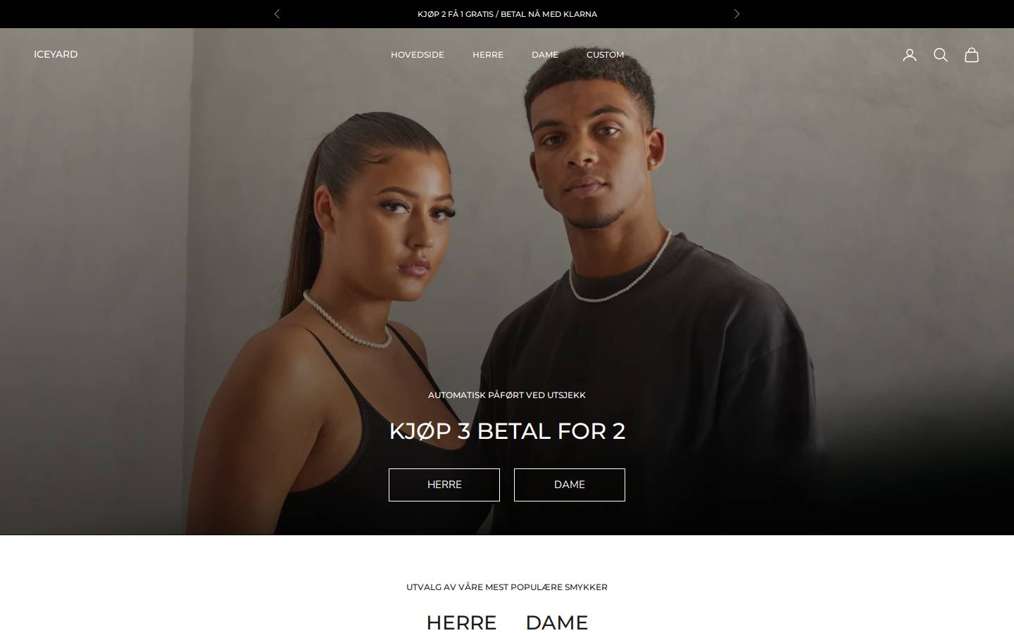 Iceyard homepage screenshot