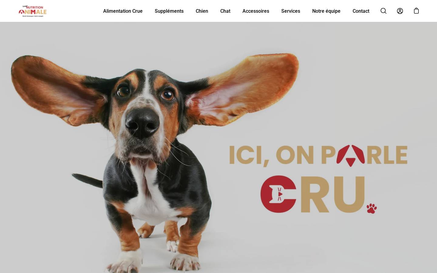 icionparlecru.ca homepage screenshot
