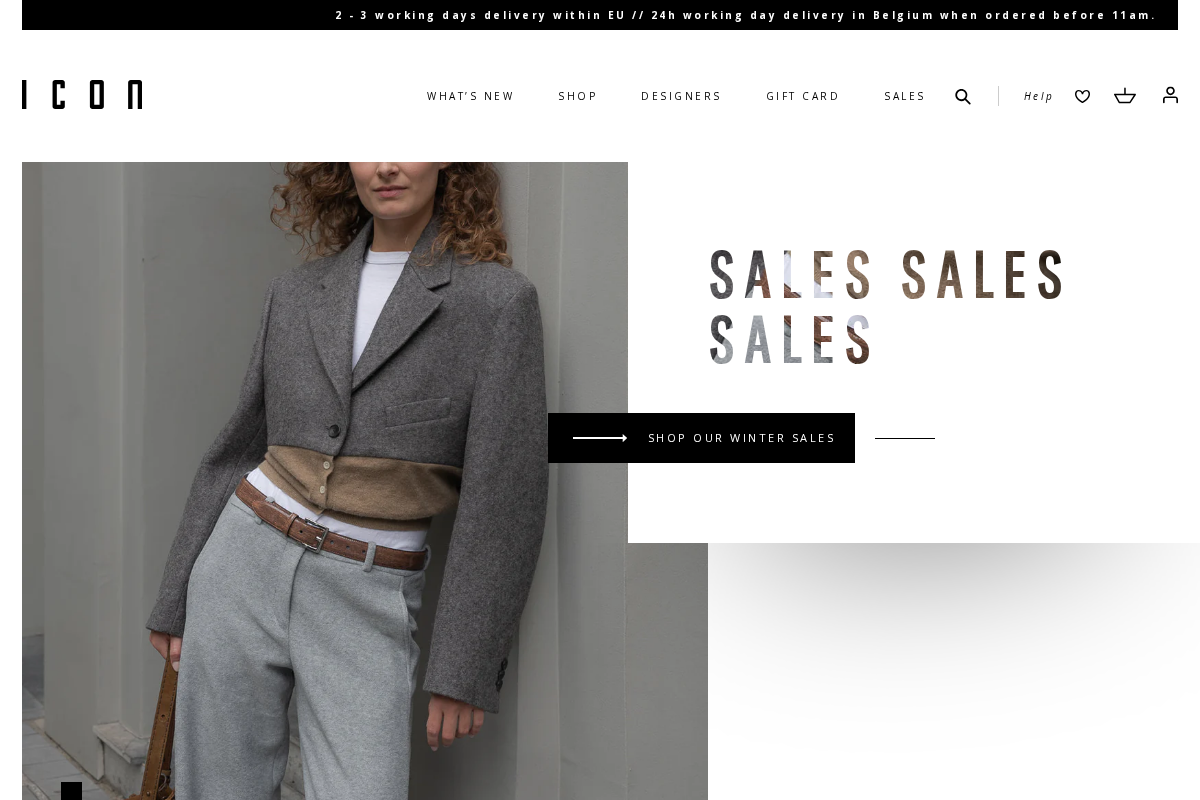 ICON homepage screenshot