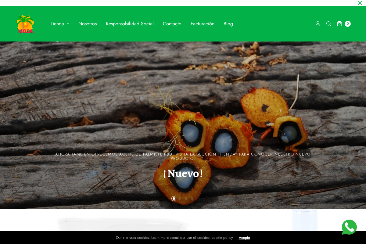 icosa.mx homepage screenshot