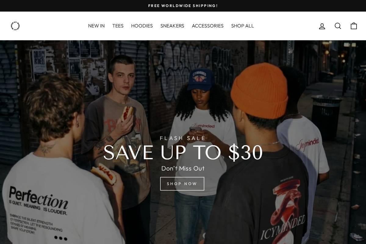 Icyminded homepage screenshot