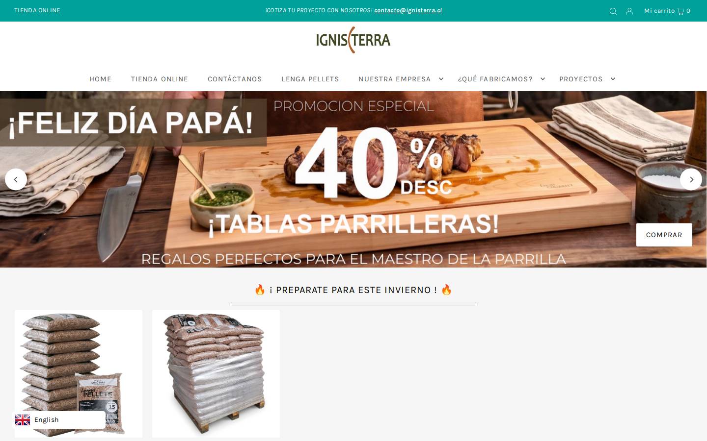 ignisterra.cl homepage screenshot