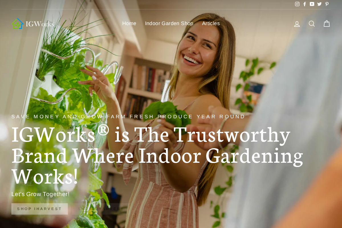 IGWorks homepage screenshot